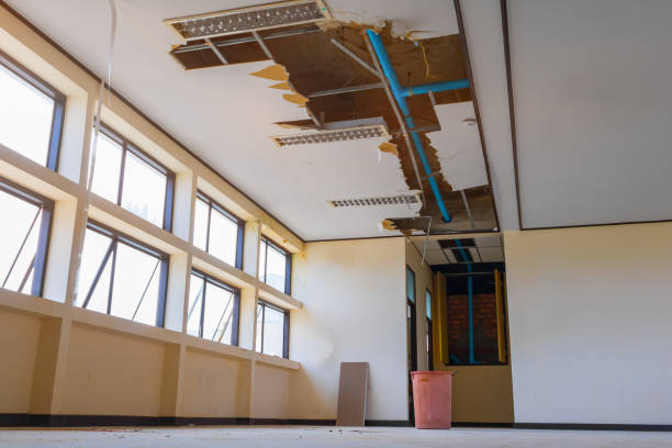 Best Flooded house restoration  in North Druid Hills, GA