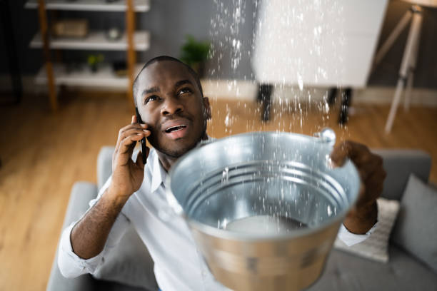 Best Professional water damage repair  in North Druid Hills, GA