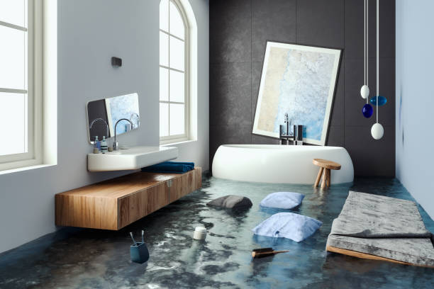 Best Local water damage restoration  in North Druid Hills, GA
