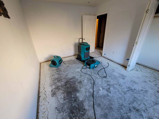 Best Water damage restoration company  in North Druid Hills, GA