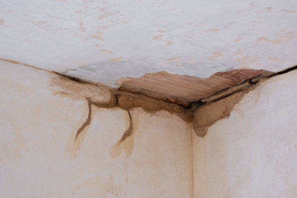 Best Water damage restoration experts  in North Druid Hills, GA