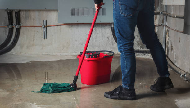 Water damage restoration mold remediation in GA