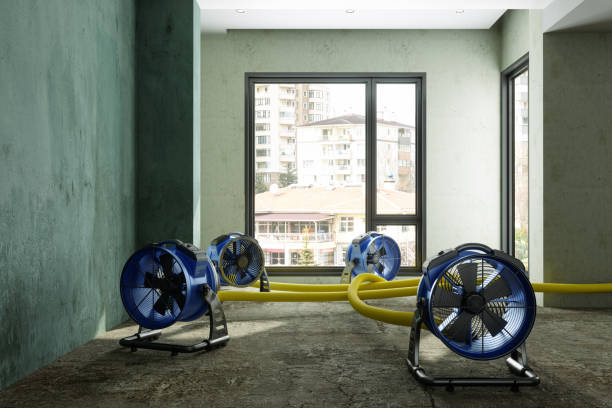 Best Water damage cleanup near me  in North Druid Hills, GA