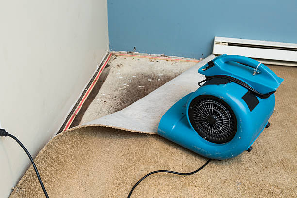Best Emergency water damage restoration  in North Druid Hills, GA